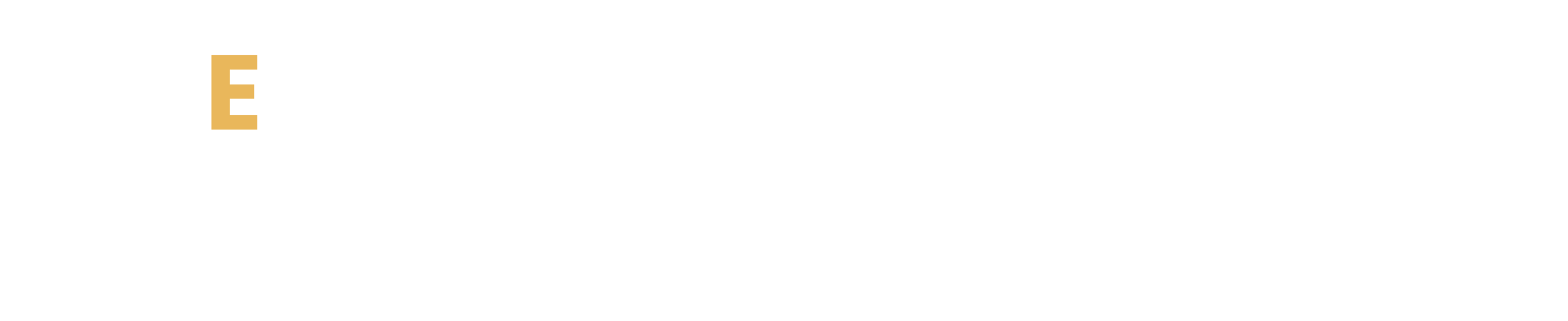 LOGO-ETHOS